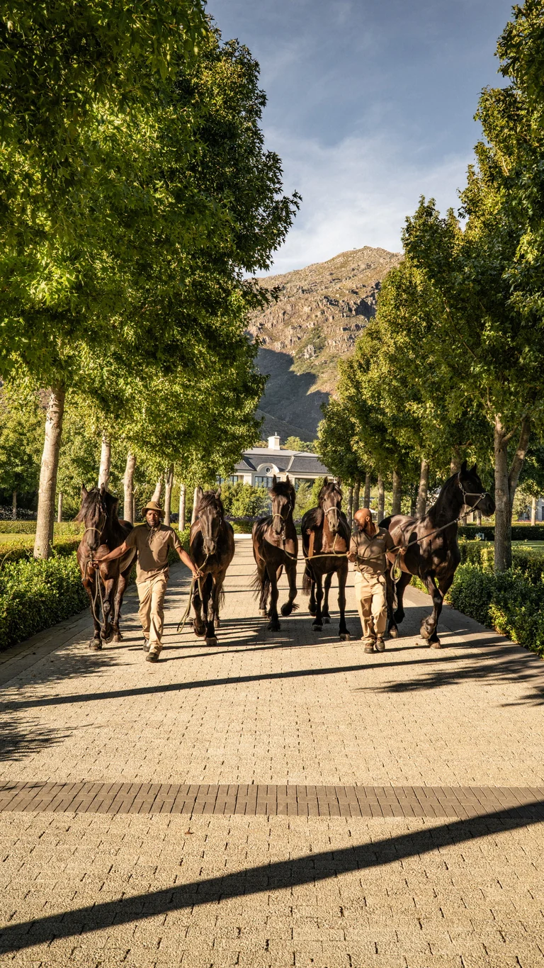 A carriage arriving at Oakvale Estate